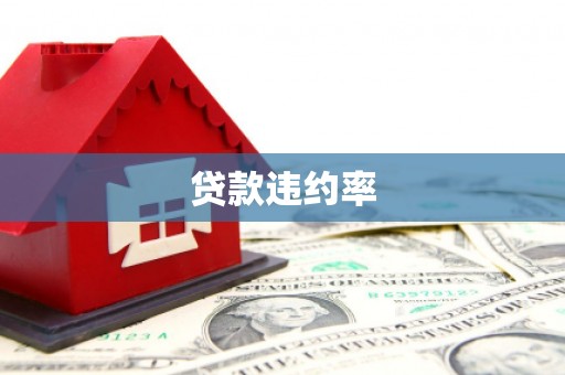 邯郸贷款违约率
