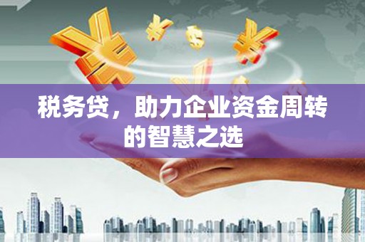 邯郸税务贷，助力企业资金周转的智慧之选
