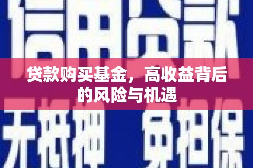 邯郸贷款购买基金，高收益背后的风险与机遇