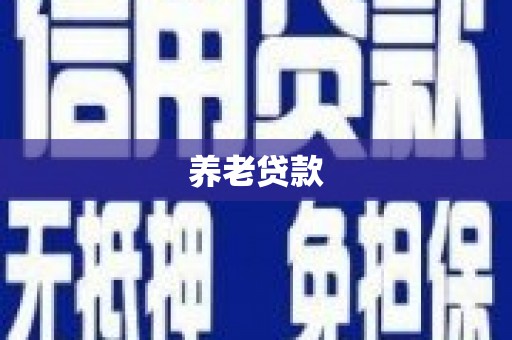 邯郸养老贷款