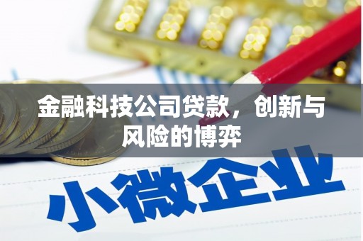 邯郸金融科技公司贷款，创新与风险的博弈