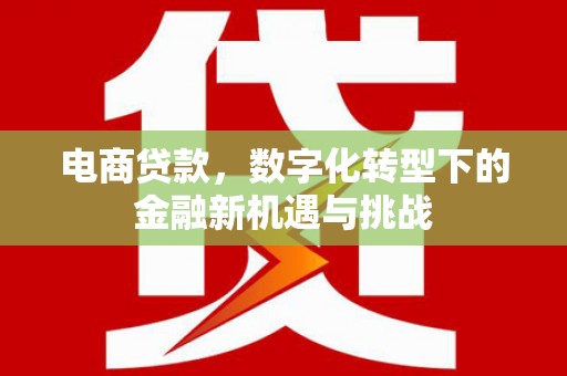 邯郸电商贷款，数字化转型下的金融新机遇与挑战