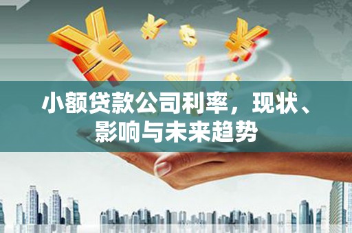 邯郸小额贷款公司利率，现状、影响与未来趋势