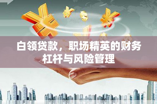 邯郸白领贷款，职场精英的财务杠杆与风险管理