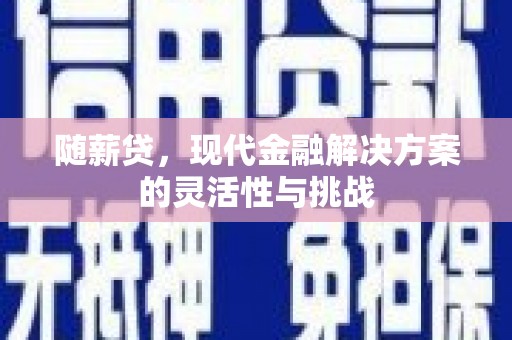 邯郸随薪贷，现代金融解决方案的灵活性与挑战