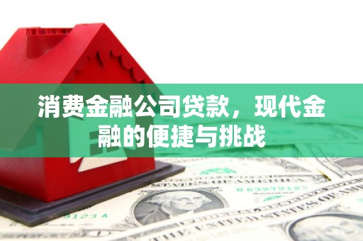 邯郸消费金融公司贷款，现代金融的便捷与挑战