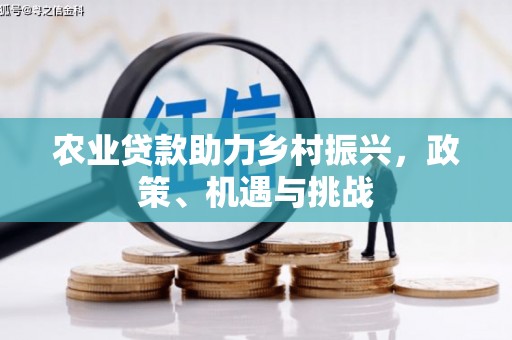 邯郸农业贷款助力乡村振兴，政策、机遇与挑战