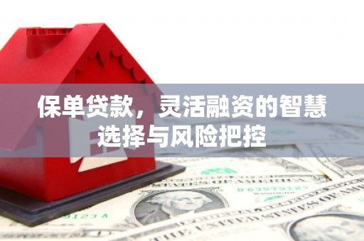 邯郸保单贷款，灵活融资的智慧选择与风险把控