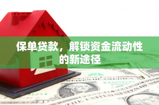 邯郸保单贷款，解锁资金流动性的新途径
