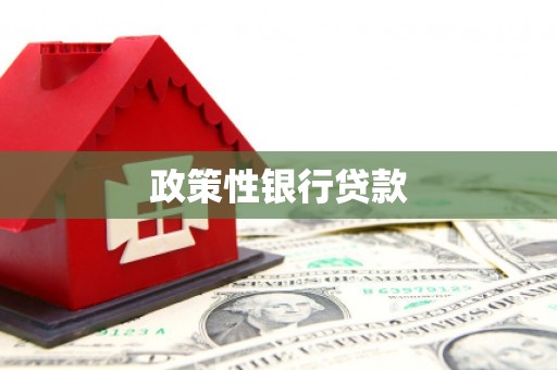 邯郸政策性银行贷款