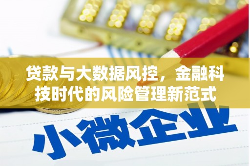 邯郸贷款与大数据风控，金融科技时代的风险管理新范式