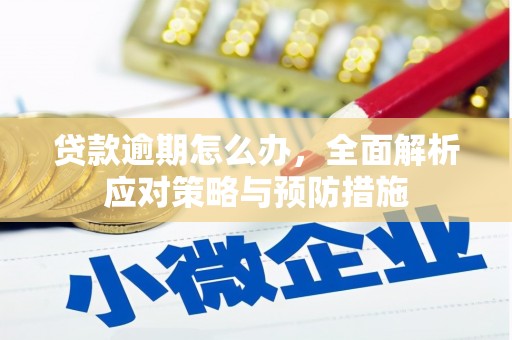 邯郸贷款逾期怎么办，全面解析应对策略与预防措施