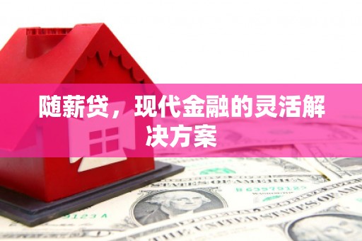 邯郸随薪贷，现代金融的灵活解决方案