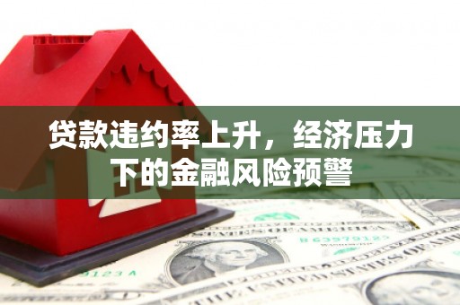 邯郸贷款违约率上升，经济压力下的金融风险预警