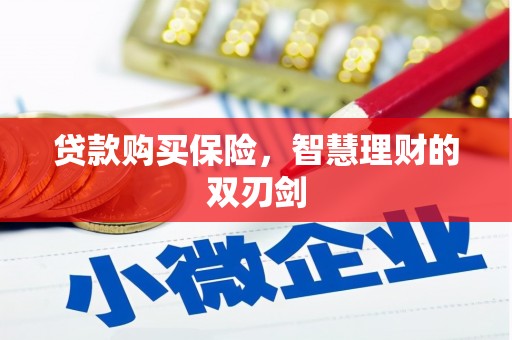 邯郸贷款购买保险，智慧理财的双刃剑