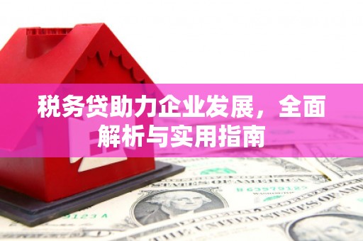 邯郸税务贷助力企业发展，全面解析与实用指南
