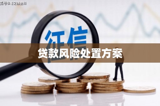 邯郸贷款风险处置方案