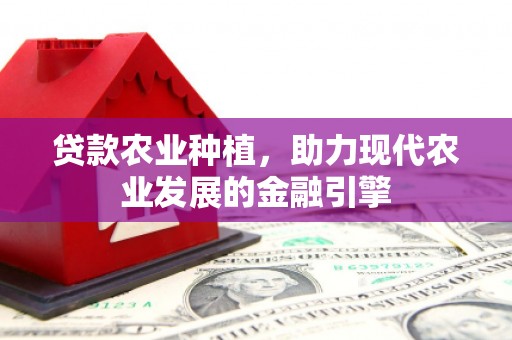 邯郸贷款农业种植，助力现代农业发展的金融引擎