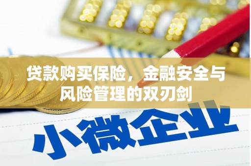 邯郸贷款购买保险，金融安全与风险管理的双刃剑