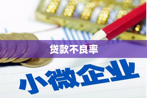 邯郸贷款不良率