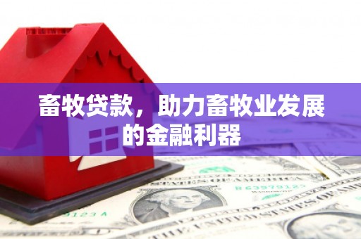 邯郸畜牧贷款，助力畜牧业发展的金融利器
