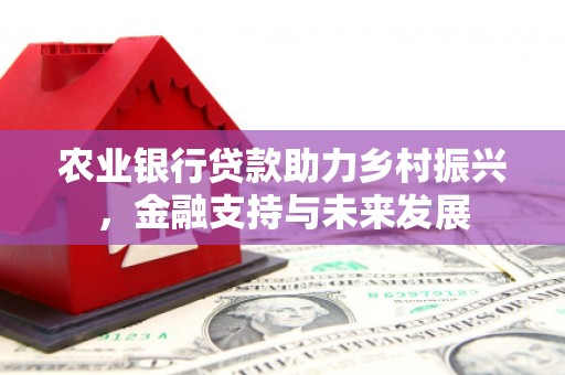 邯郸农业银行贷款助力乡村振兴，金融支持与未来发展