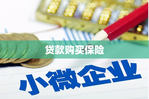 邯郸贷款购买保险