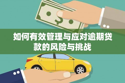 邯郸如何有效管理与应对逾期贷款的风险与挑战