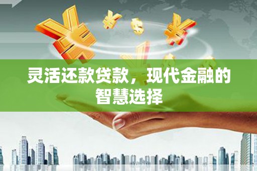 邯郸灵活还款贷款，现代金融的智慧选择