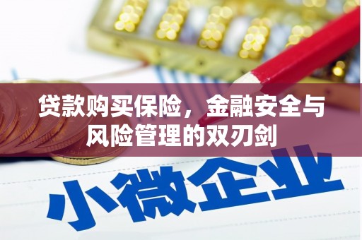 邯郸贷款购买保险，金融安全与风险管理的双刃剑
