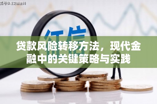 邯郸贷款风险转移方法，现代金融中的关键策略与实践