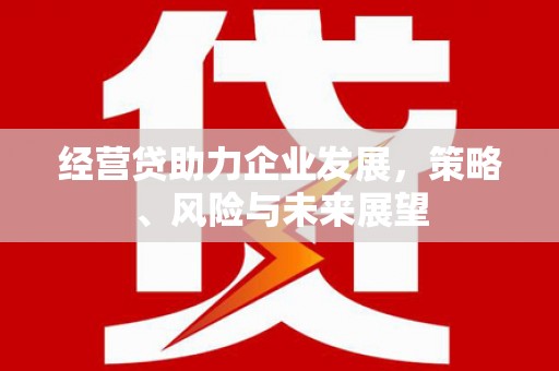 邯郸经营贷助力企业发展，策略、风险与未来展望