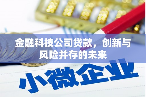 邯郸金融科技公司贷款，创新与风险并存的未来