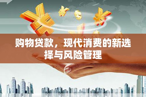邯郸购物贷款，现代消费的新选择与风险管理
