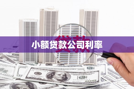 邯郸小额贷款公司利率