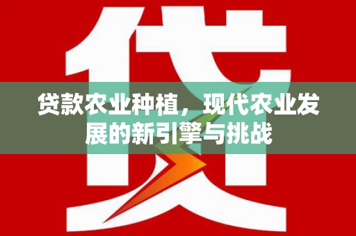 邯郸贷款农业种植，现代农业发展的新引擎与挑战