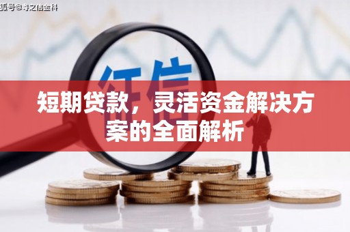 邯郸短期贷款，灵活资金解决方案的全面解析