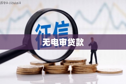邯郸无电审贷款