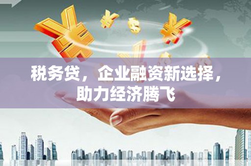 邯郸税务贷，企业融资新选择，助力经济腾飞