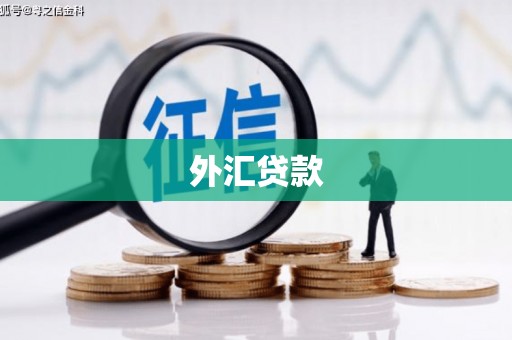 邯郸外汇贷款