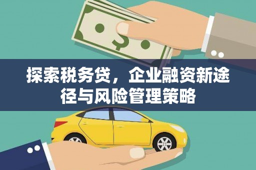 邯郸探索税务贷，企业融资新途径与风险管理策略