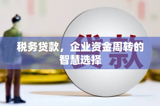 邯郸税务贷款，企业资金周转的智慧选择