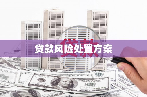 邯郸贷款风险处置方案