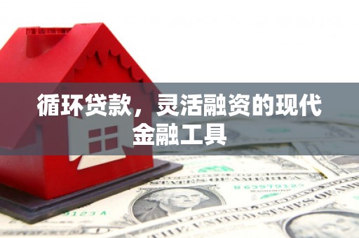 邯郸循环贷款，灵活融资的现代金融工具