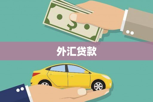 邯郸外汇贷款