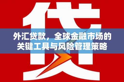 邯郸外汇贷款，全球金融市场的关键工具与风险管理策略