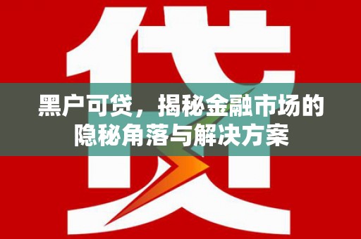 邯郸黑户可贷，揭秘金融市场的隐秘角落与解决方案
