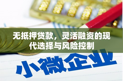 邯郸无抵押贷款，灵活融资的现代选择与风险控制