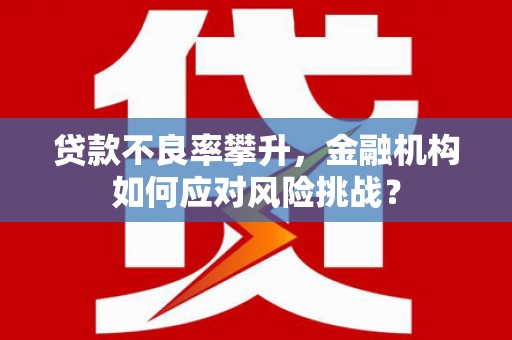 邯郸贷款不良率攀升，金融机构如何应对风险挑战？