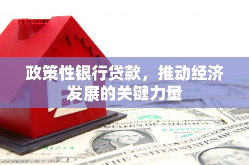 邯郸政策性银行贷款，推动经济发展的关键力量